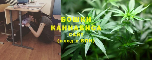ГАЛЛЮЦИНОГЕННЫЕ ГРИБЫ Алзамай