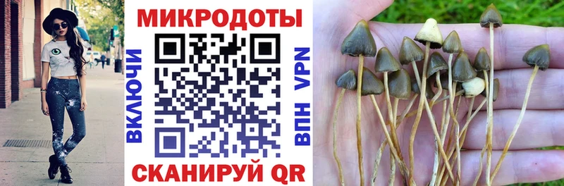 Галлюциногенные грибы мухоморы  закладки  Гагарин 