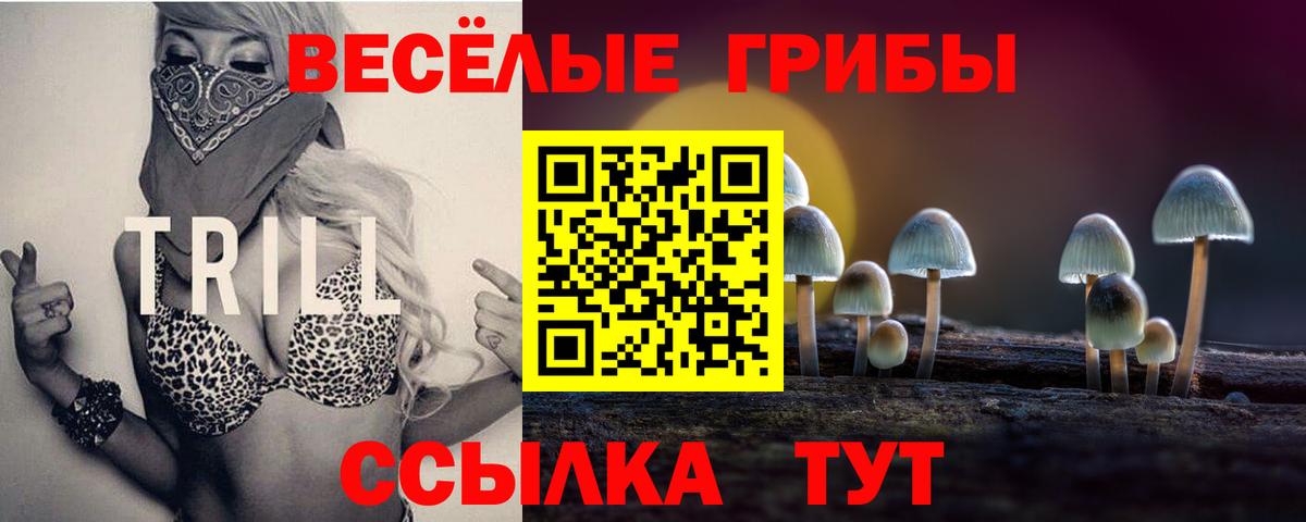 купить наркотик  Вход с VPN  Гагарин  Псилоцибиновые грибы мицелий 